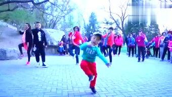 金金广场舞视频,活力四射的老年生活风采展示