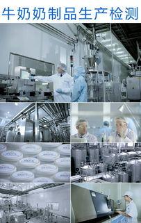 牛奶生产视频,从牧场到餐桌