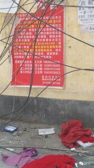 范华培被击毙视频,真相与反思