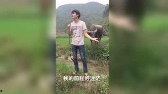 做爱福利视频,揭秘做爱福利视频的魅力与启示
